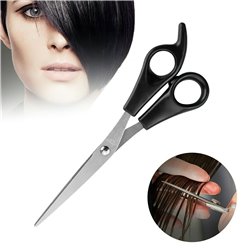 Professional Hairdressing Scissors Barber Salon Hair Cutting