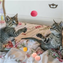 5st Pom Pom bollar Rolig leksak för Katter Fluffig Mjuk