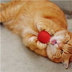 5x Fluffy Soft Fur Pompon Balls Funny Toy for Pet Cat Kitten