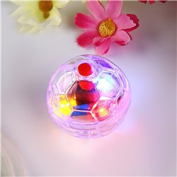 Cat-Dog Rolling Glowing Balls Electric Transparent Football