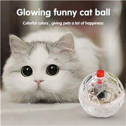 Cat-Dog Rolling Glowing Balls Electric Transparent Football