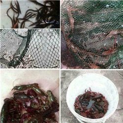 Folding Fishing Net Fish Shrimp Crab Bait Cast Net Mesh Trap 12 Holes